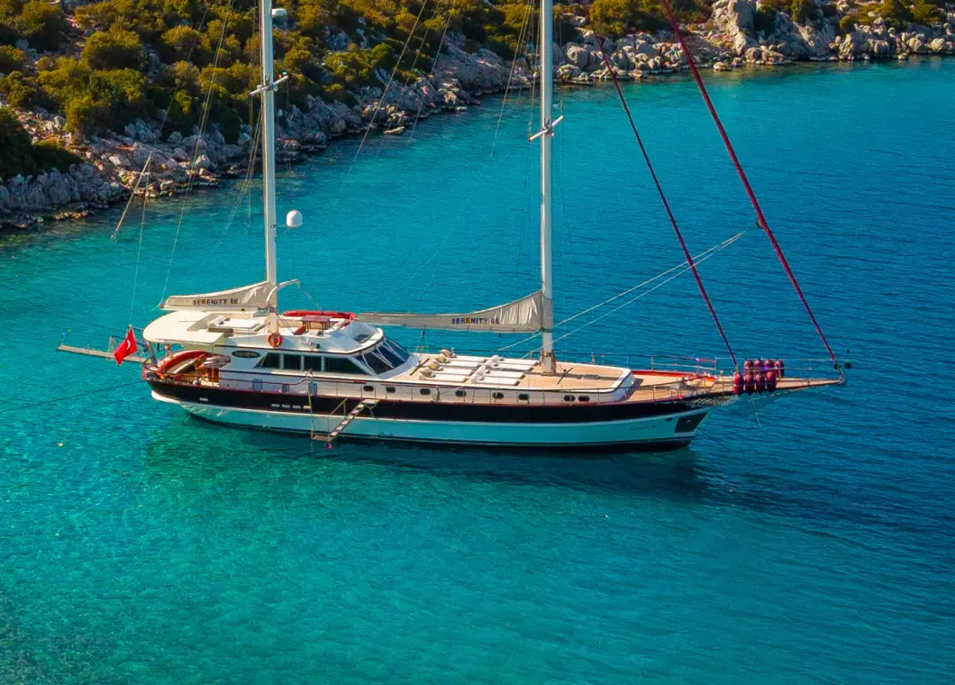 01_serenity-86_-main_zoomed-in