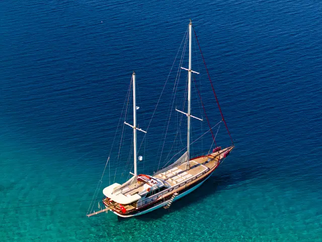 dji_20241113131117_0159_d_copy