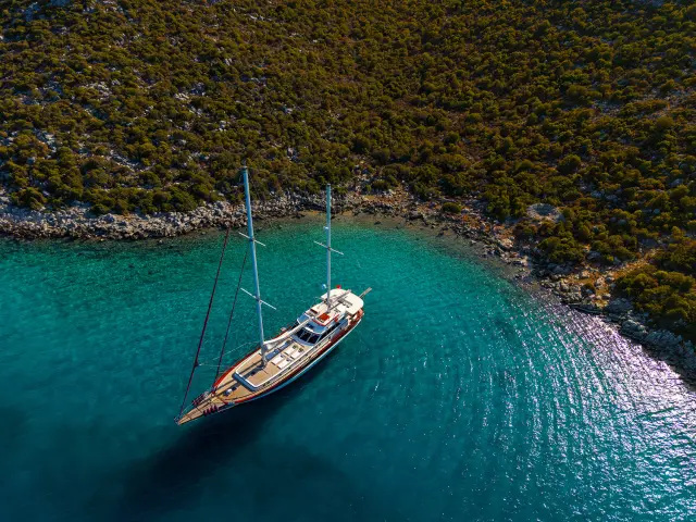 dji_20241113132007_0183_d_copy