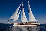 Sail in Greece with gulet ERATO and her great crew