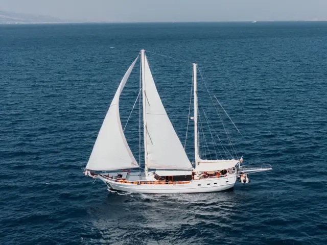 gulet-beyaz-lale-020